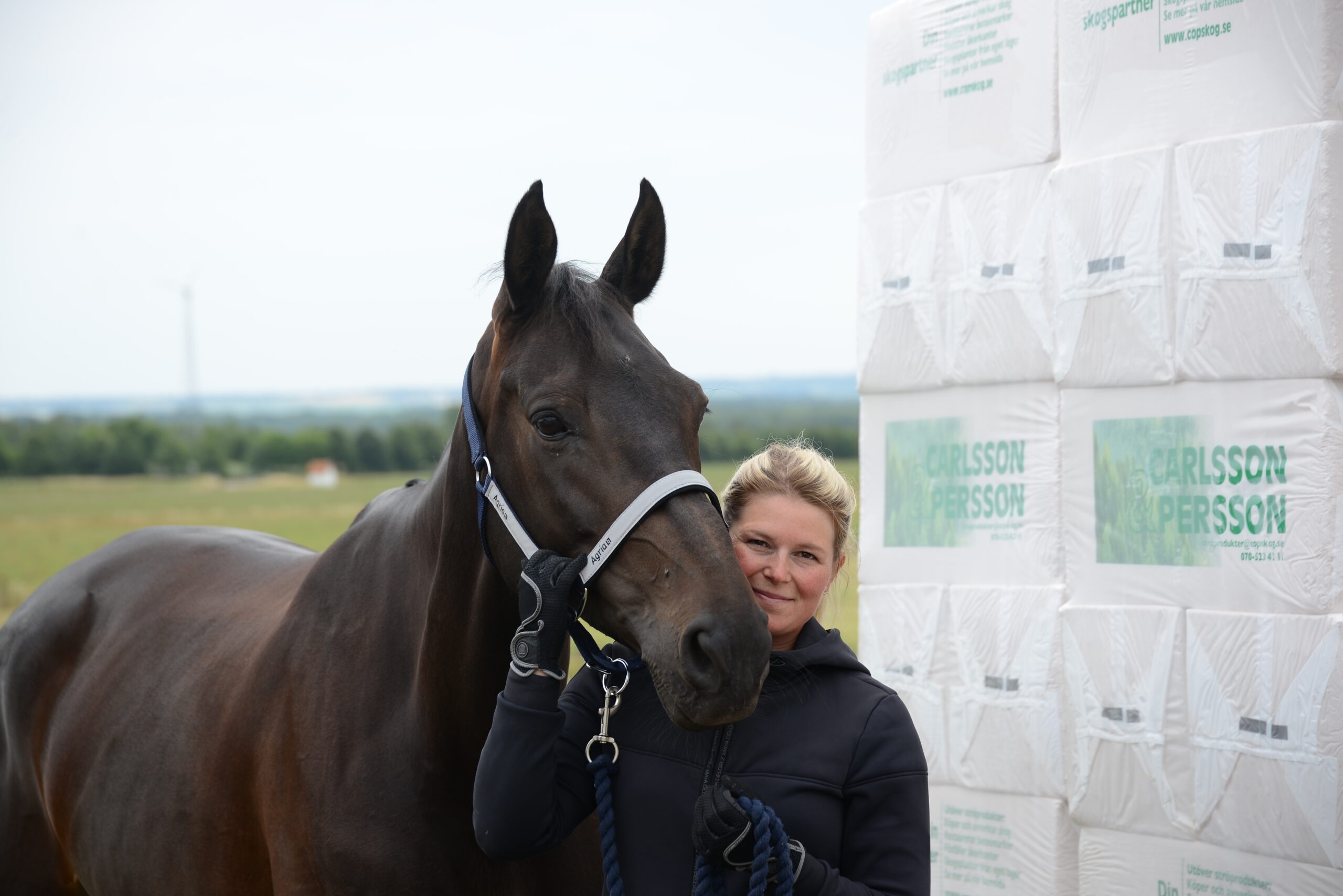 Ambassadör Stephanie Holmén