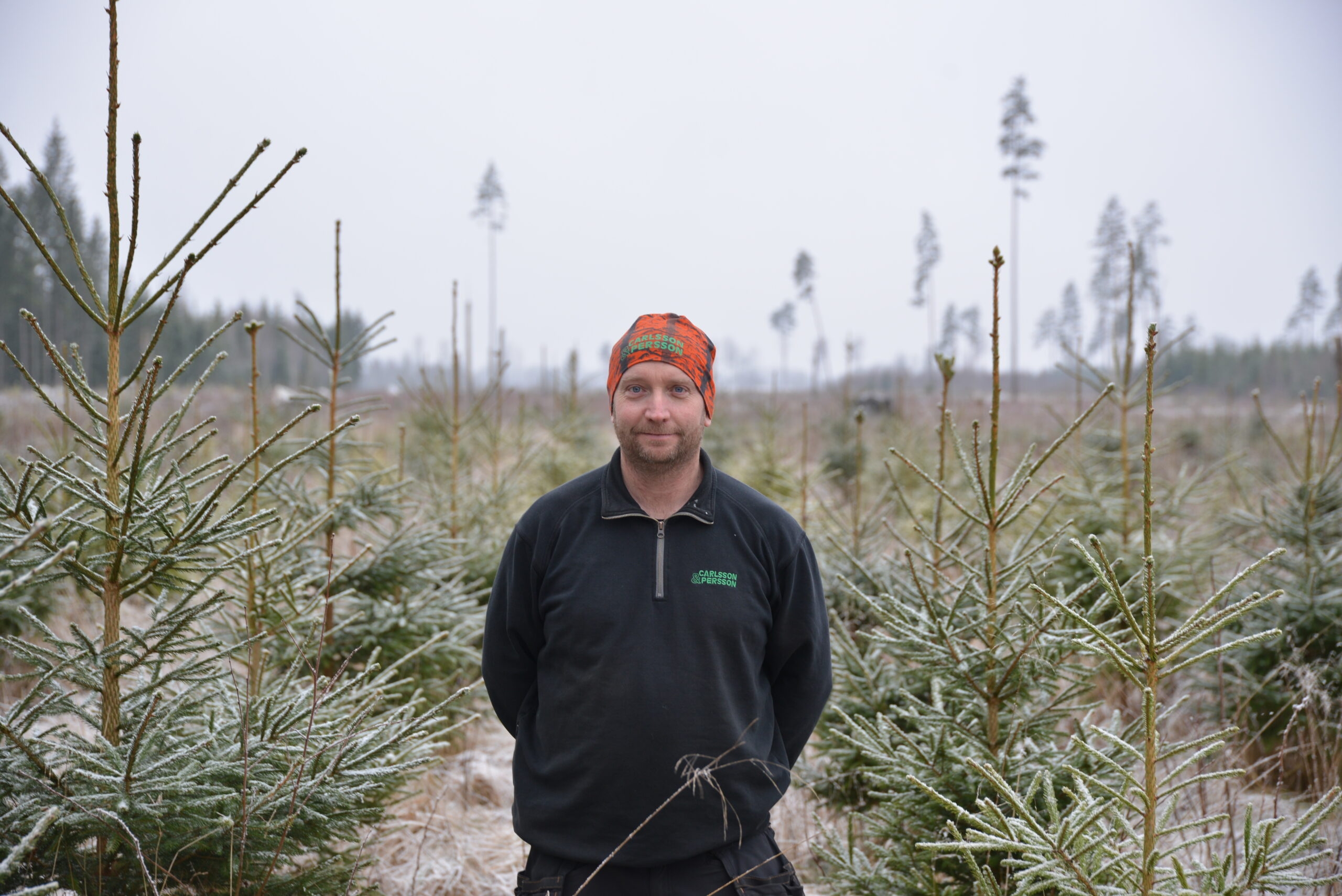 Skapa framtidens skog